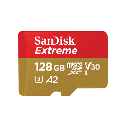 Carte microSD™ SanDisk Extreme conçue pour le jeu mobile - 128 Go