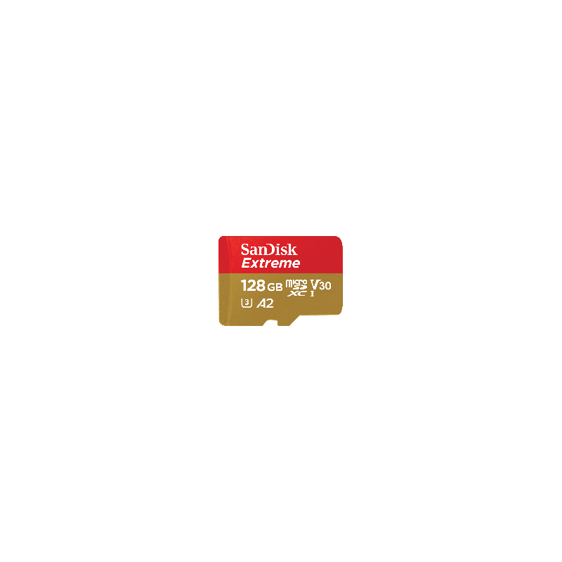 Carte microSD™ SanDisk Extreme conçue pour le jeu mobile - 128 Go