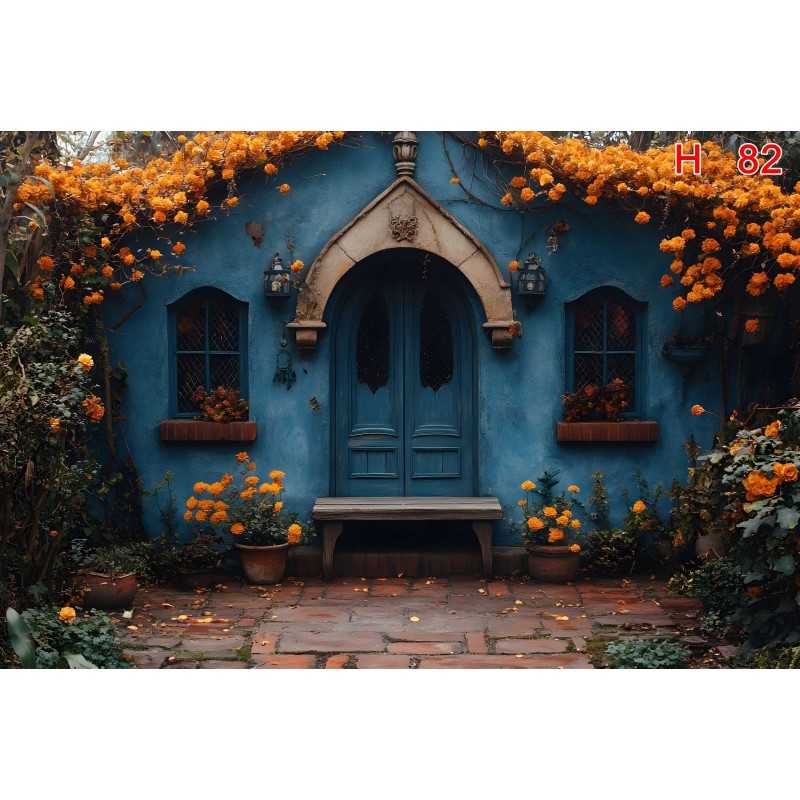 FONDS STUDIO TYPE H 2026