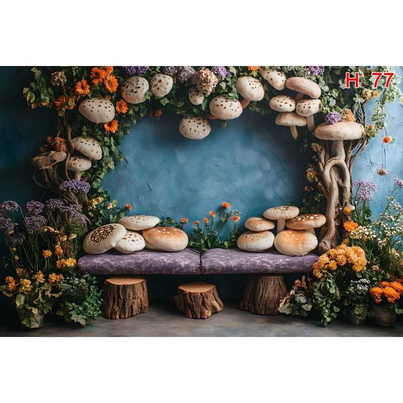 FONDS STUDIO TYPE H 2026