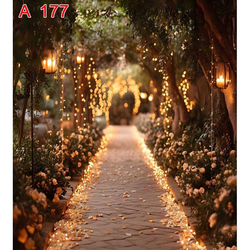 FONDS STUDIO TYPE A 2026