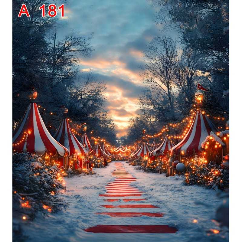 FONDS STUDIO TYPE A 2026