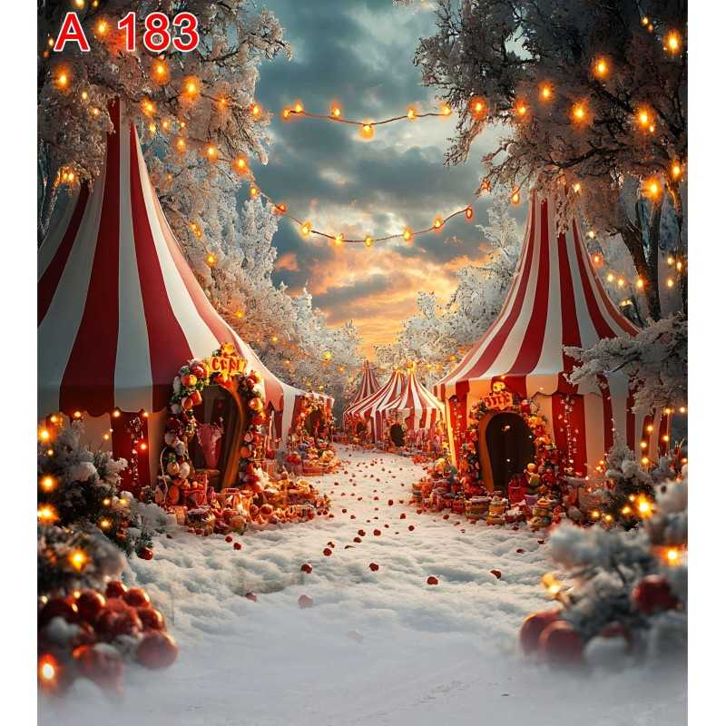 FONDS STUDIO TYPE A 2026