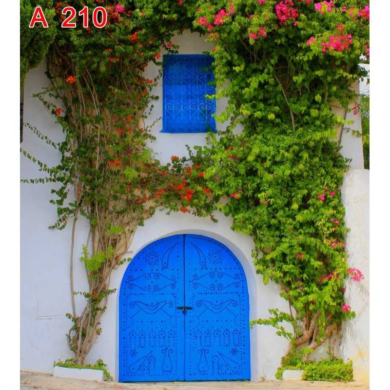 FONDS STUDIO TYPE A 2026