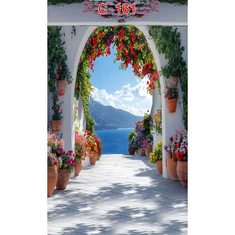 FONDS STUDIO TYPE C 2026