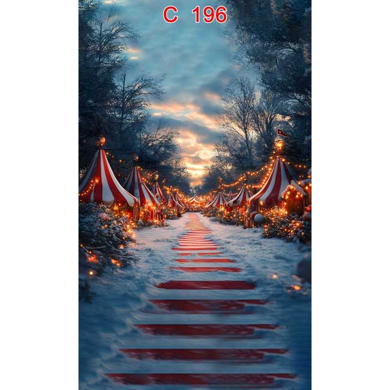 FONDS STUDIO TYPE C 2026