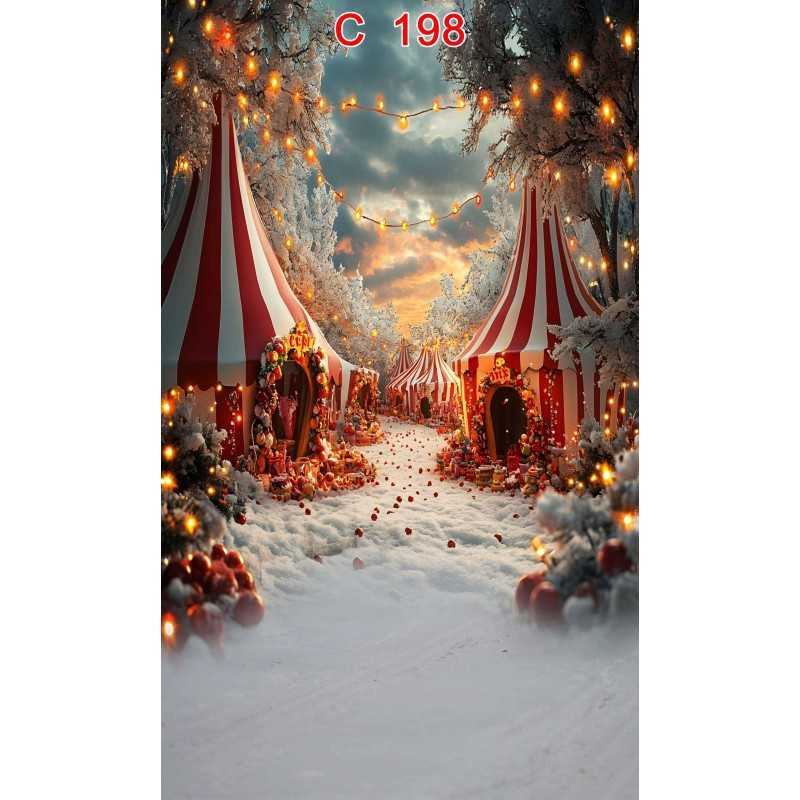 FONDS STUDIO TYPE C 2026