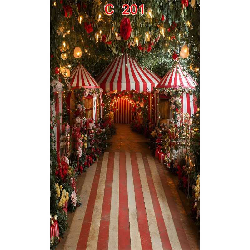 FONDS STUDIO TYPE C 2026