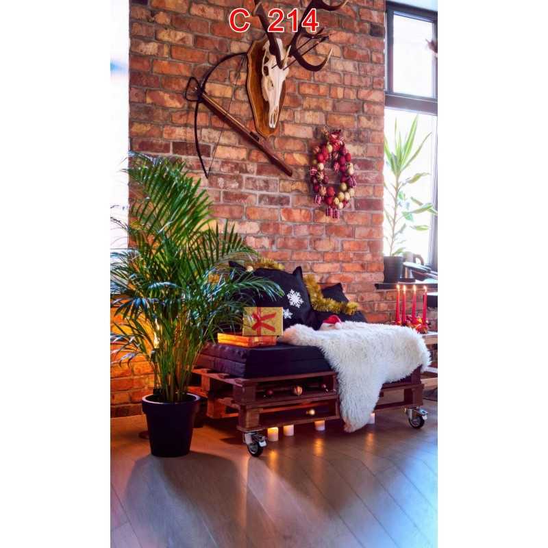 FONDS STUDIO TYPE C 2026