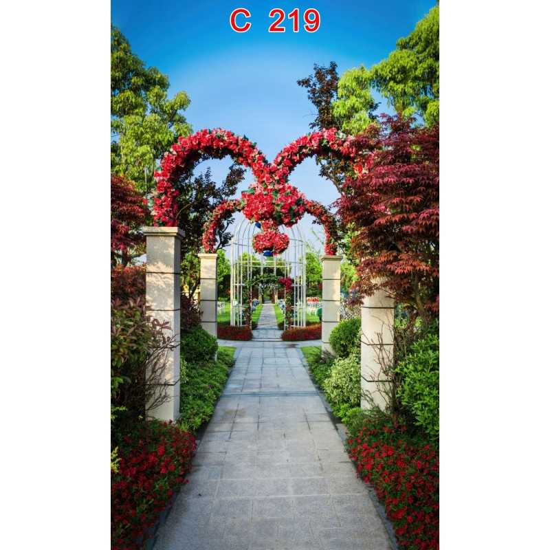 FONDS STUDIO TYPE C 2026