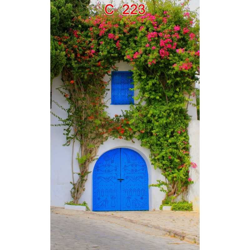 FONDS STUDIO TYPE C 2026