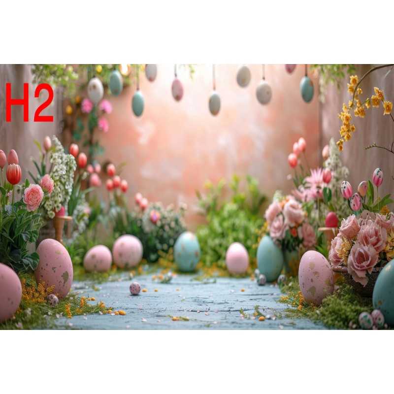 FONDS STUDIO TYPE H 2025