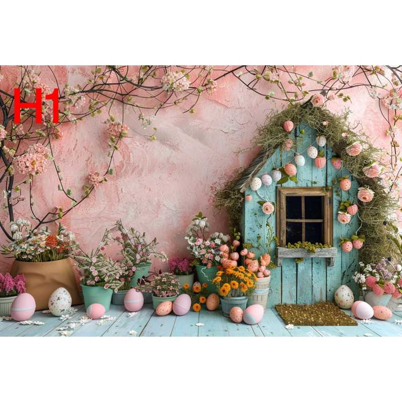 FONDS STUDIO TYPE H 2025