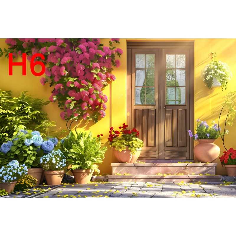 FONDS STUDIO TYPE H 2025