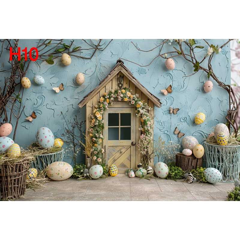 FONDS STUDIO TYPE H 2025