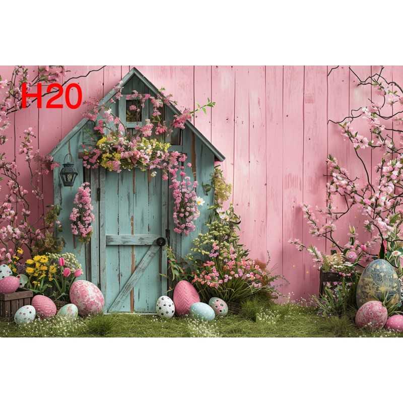 FONDS STUDIO TYPE H 2025