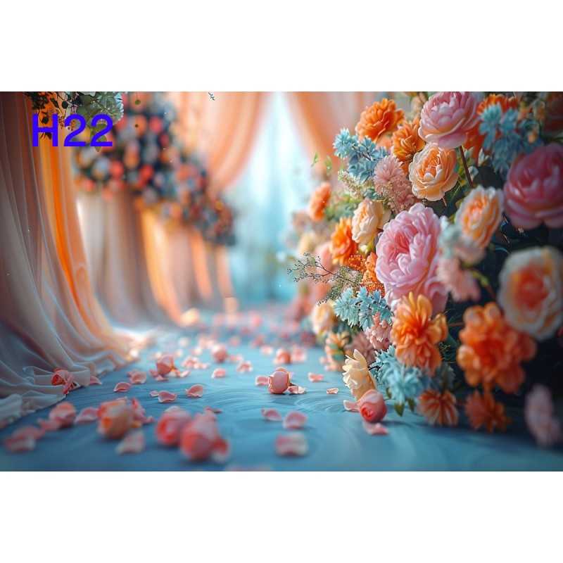 FONDS STUDIO TYPE H 2025