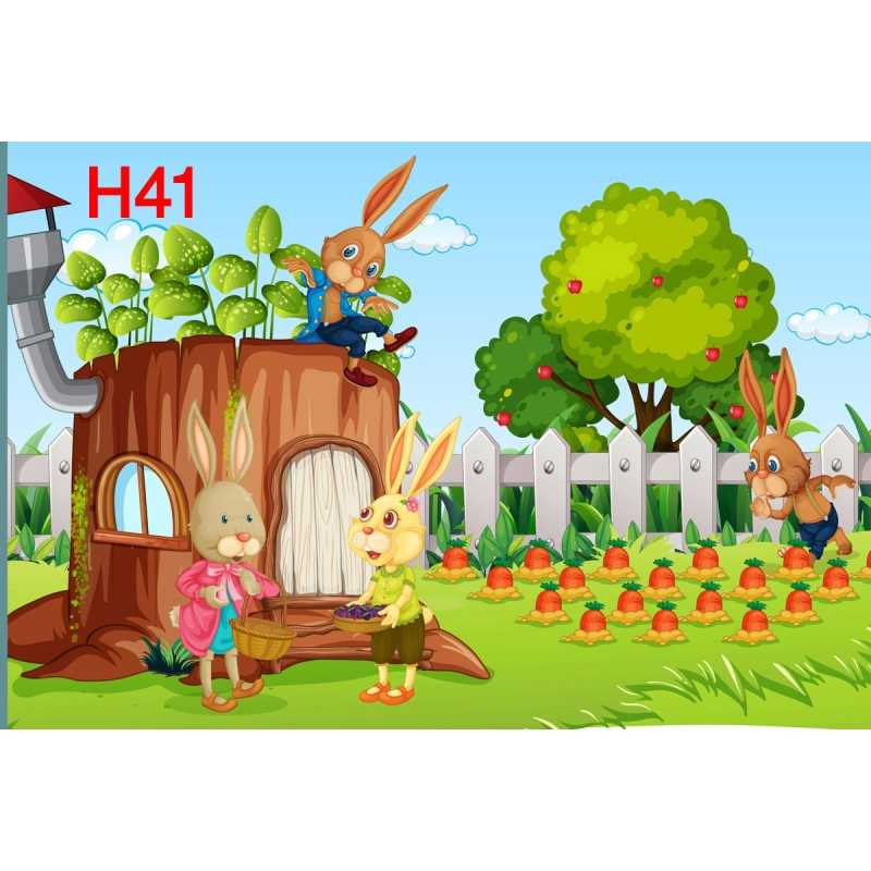 FONDS STUDIO TYPE H 2025