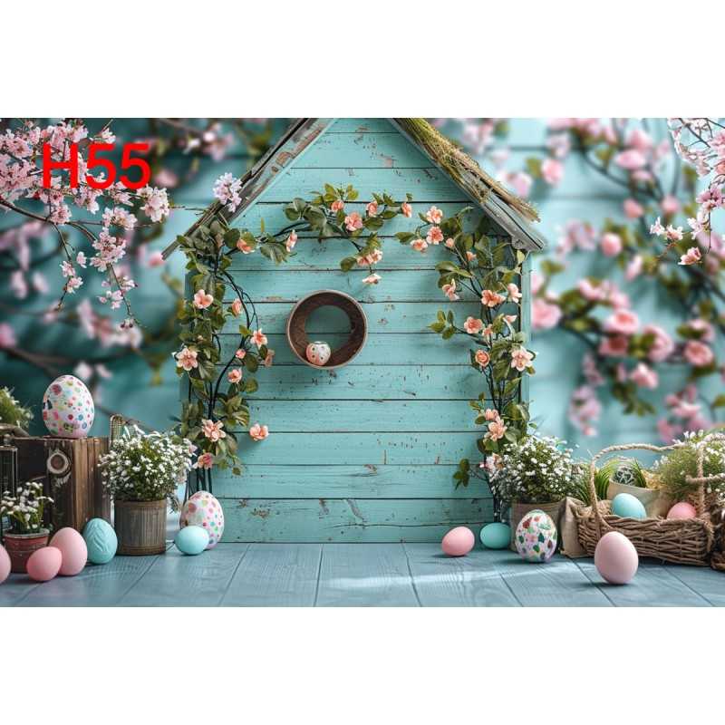 FONDS STUDIO TYPE H 2025