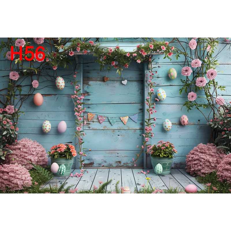 FONDS STUDIO TYPE H 2025