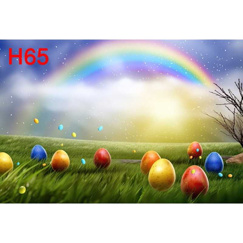 FONDS STUDIO TYPE H 2025