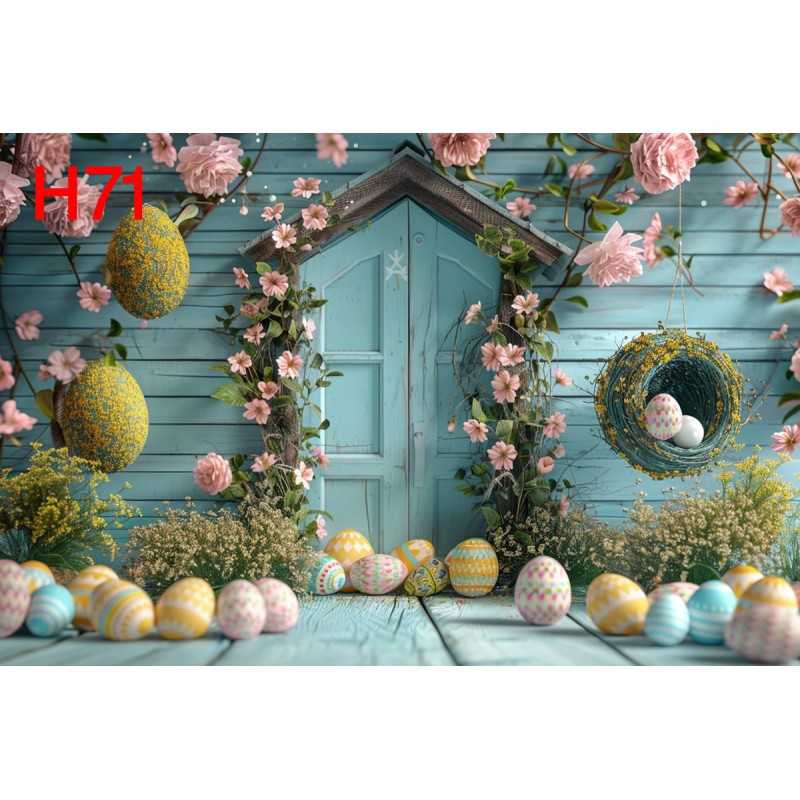 FONDS STUDIO TYPE H 2025