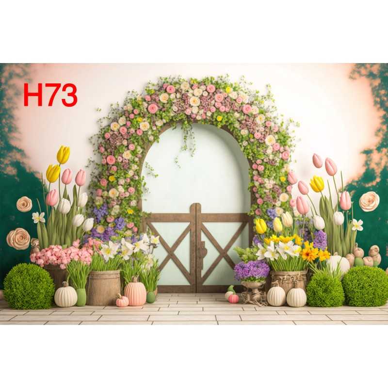 FONDS STUDIO TYPE H 2025