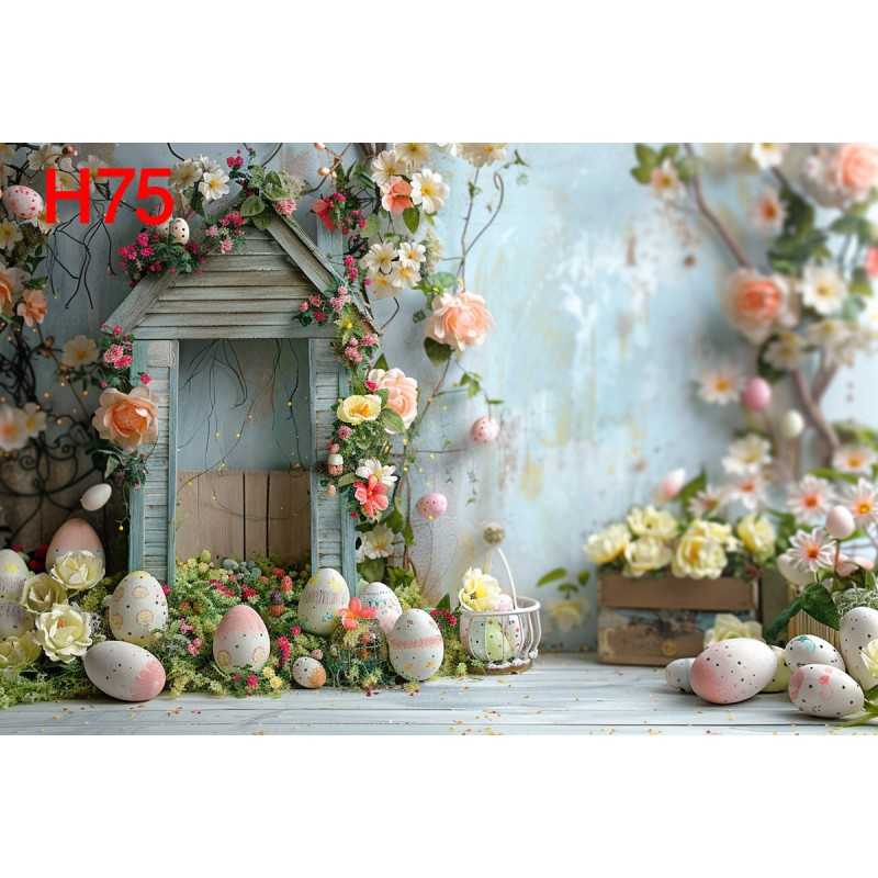 FONDS STUDIO TYPE H 2025