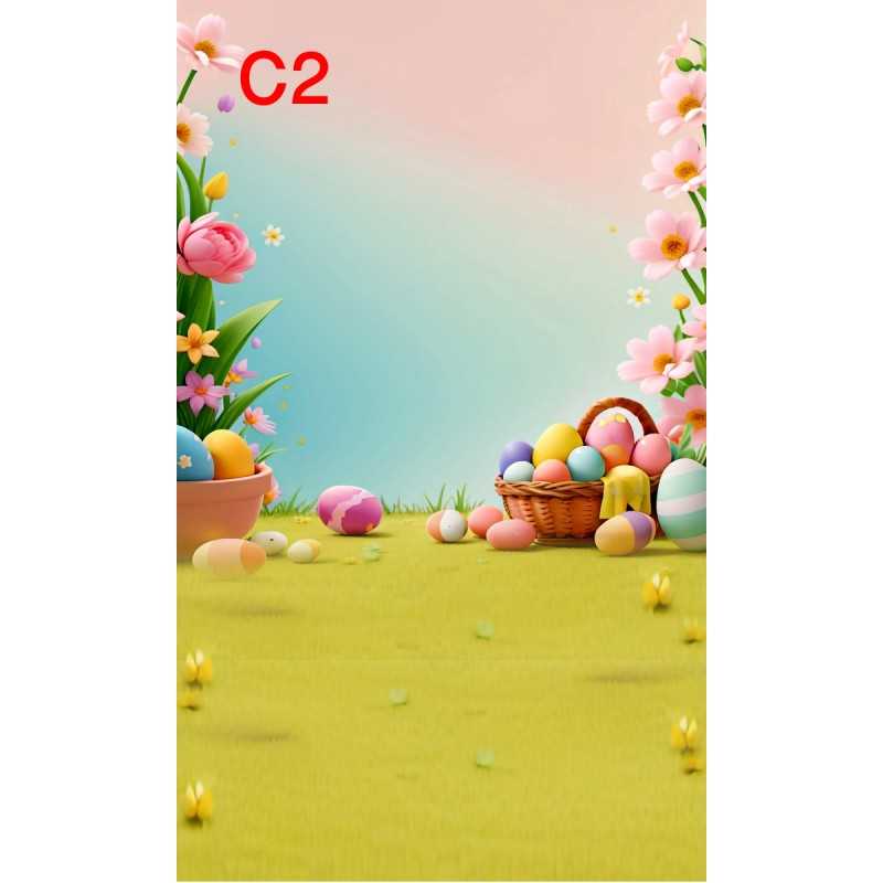 FONDS STUDIO TYPE C 2025