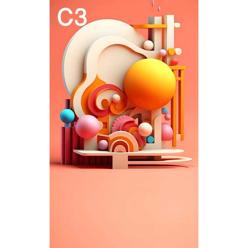 FONDS STUDIO TYPE C 2025