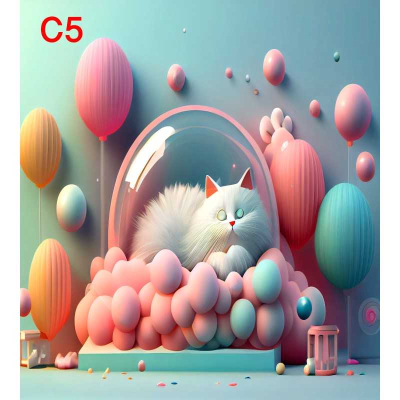 FONDS STUDIO TYPE C 2025