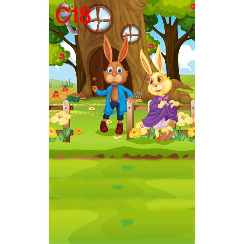 FONDS STUDIO TYPE C 2025