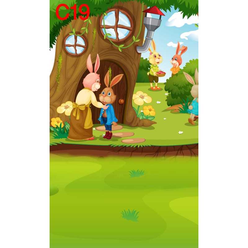 FONDS STUDIO TYPE C 2025