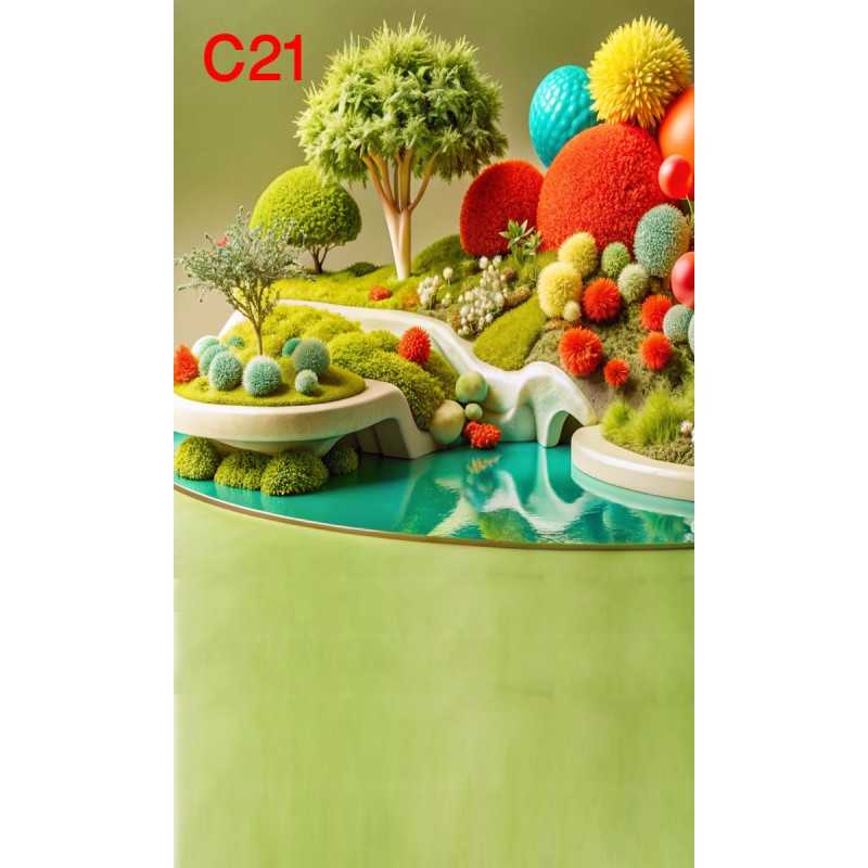 FONDS STUDIO TYPE C 2025