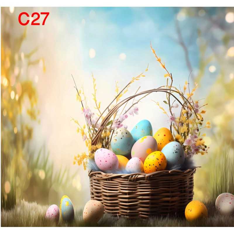 FONDS STUDIO TYPE C 2025