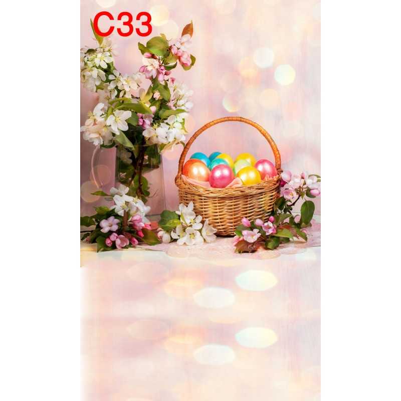 FONDS STUDIO TYPE C 2025