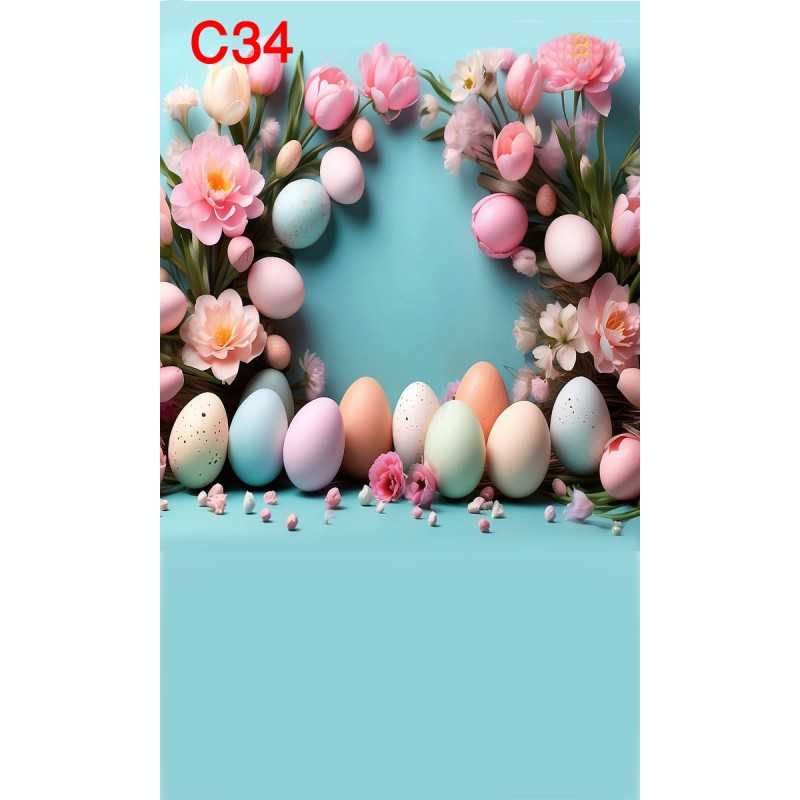 FONDS STUDIO TYPE C 2025