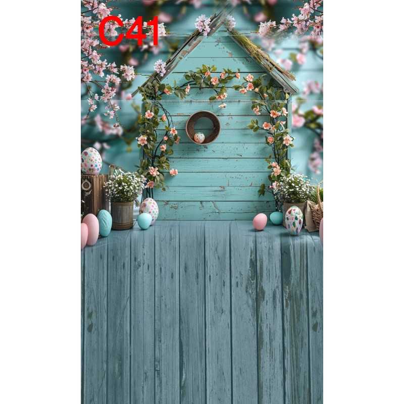 FONDS STUDIO TYPE C 2025