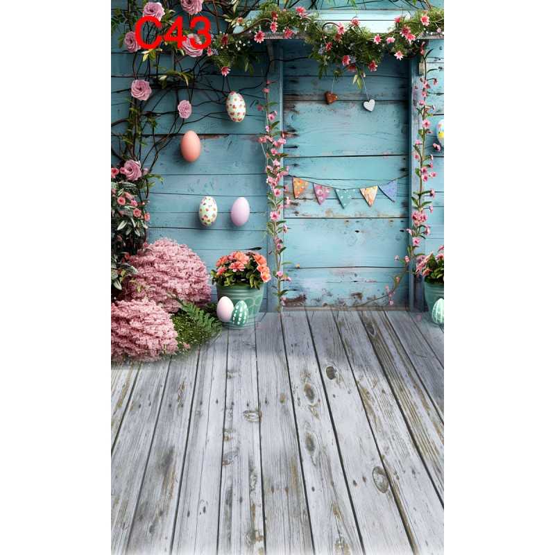 FONDS STUDIO TYPE C 2025