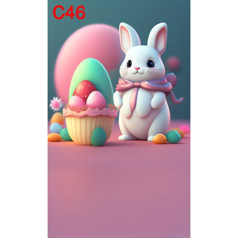 FONDS STUDIO TYPE C 2025