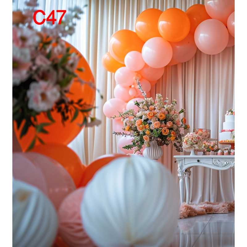 FONDS STUDIO TYPE C 2025