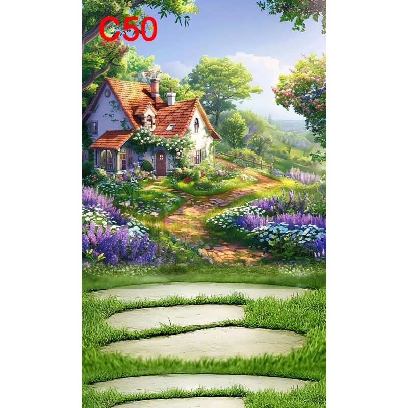 FONDS STUDIO TYPE C 2025