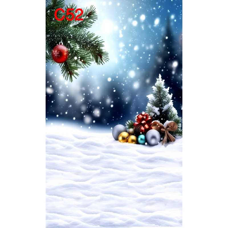 FONDS STUDIO TYPE C 2025