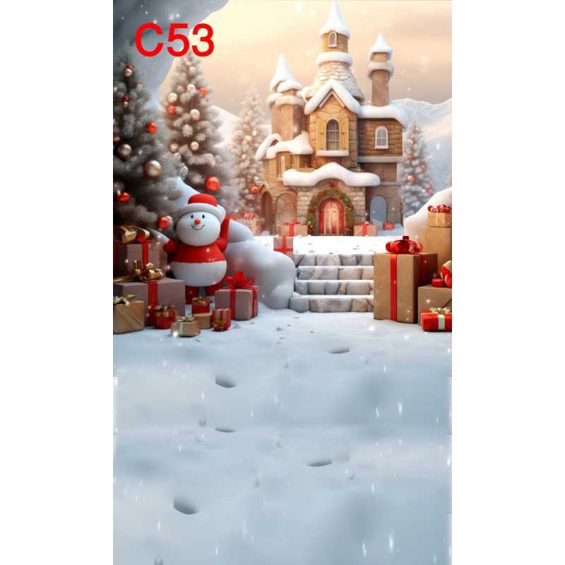 FONDS STUDIO TYPE C 2025