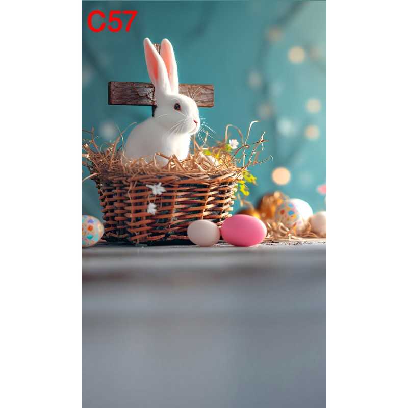 FONDS STUDIO TYPE C 2025