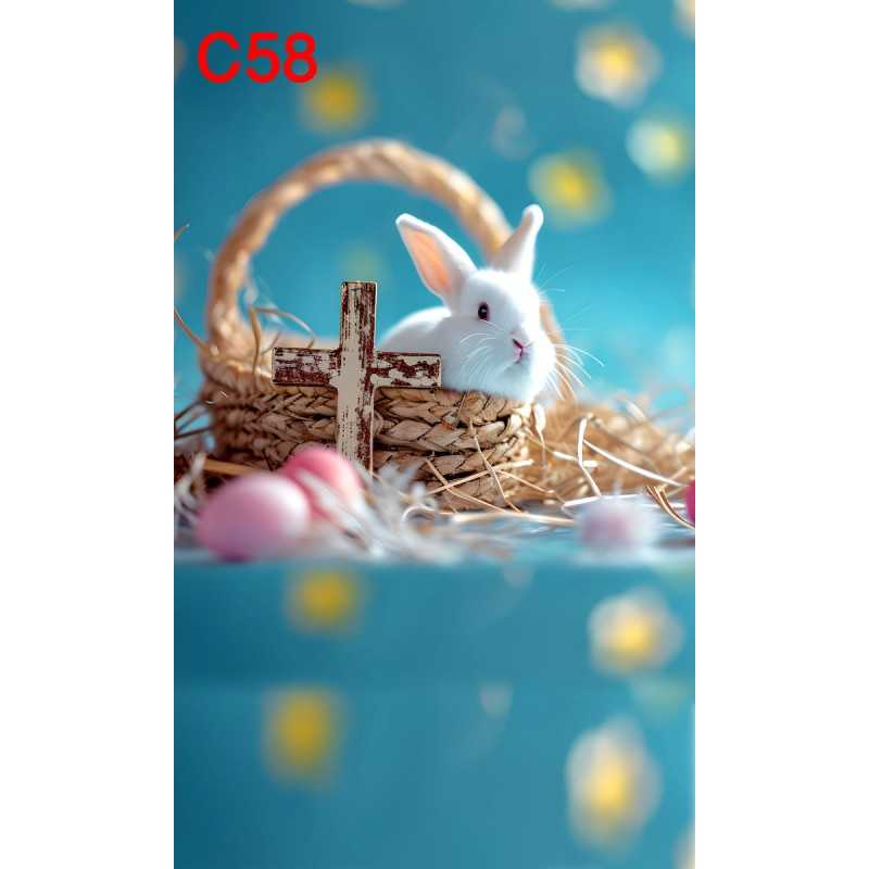 FONDS STUDIO TYPE C 2025