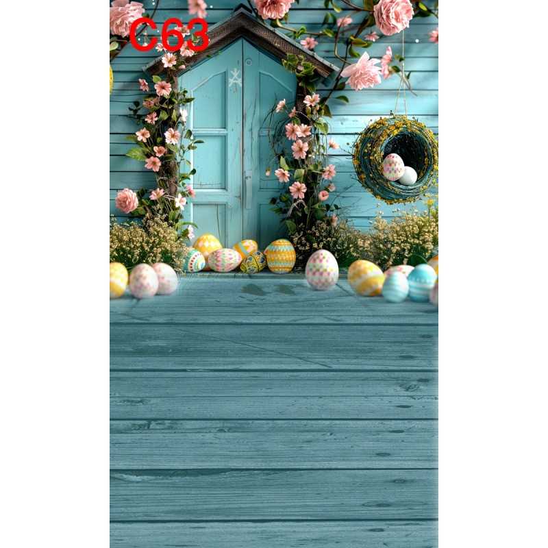 FONDS STUDIO TYPE C 2025