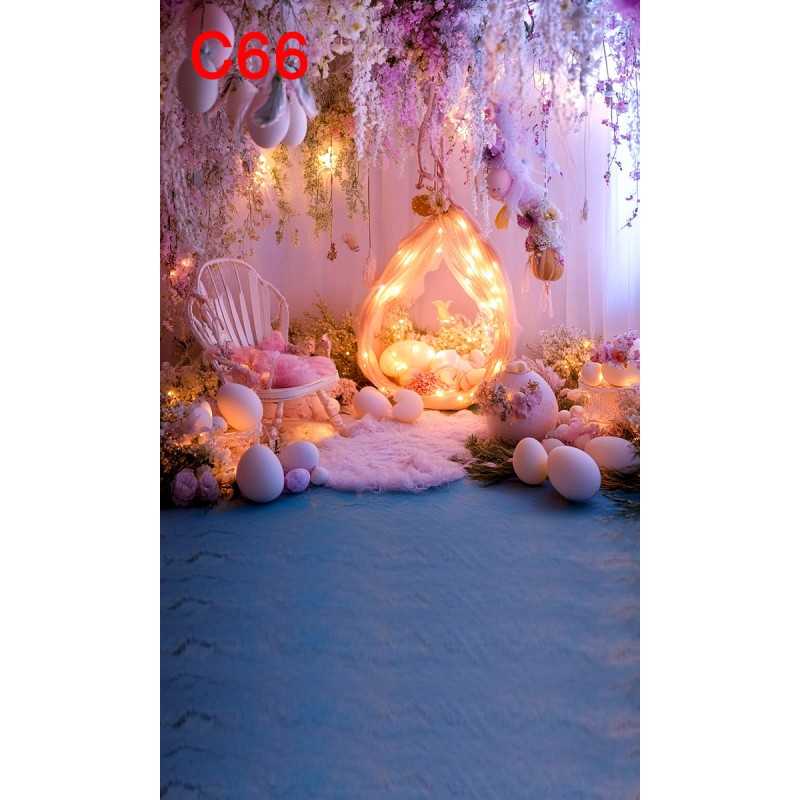 FONDS STUDIO TYPE C 2025