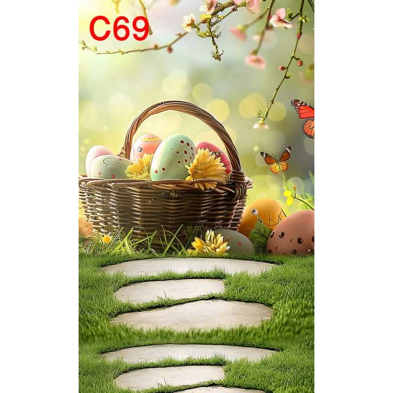 FONDS STUDIO TYPE C 2025