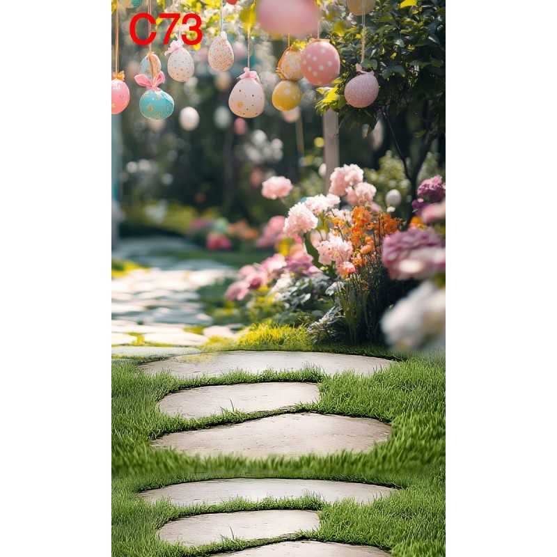 FONDS STUDIO TYPE C 2025